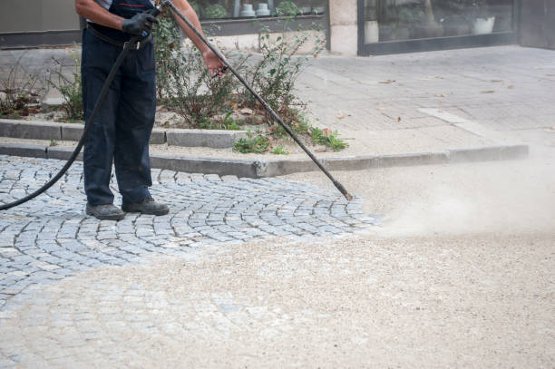 Animal Enclosure Cleaning in Holmes Beach, FL